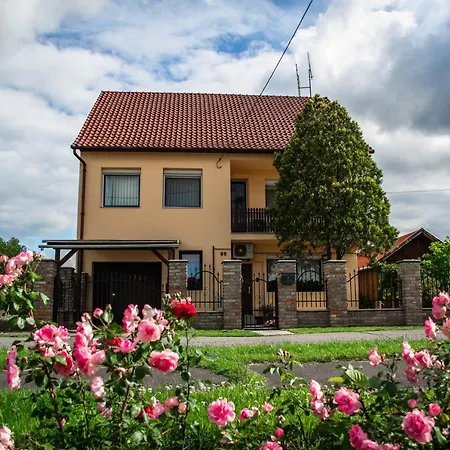 Monika Vendeghaz Guest house *