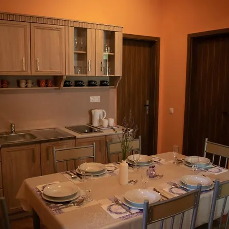 Monika Vendeghaz Guest house *