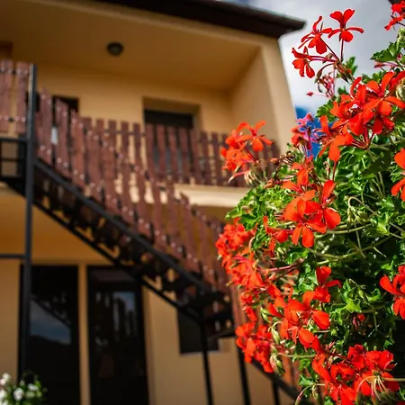 Monika Vendeghaz Guest house *