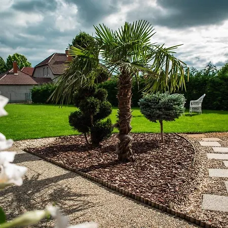 Mónika 3* Mórahalom